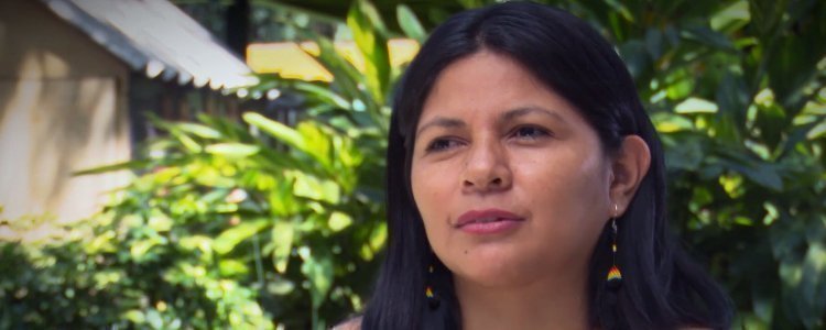 Cultivos de pimienta para la paz