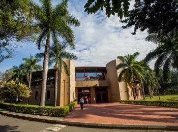 Fachada del bloque 3. El edificio se ve rodeado de palmeras