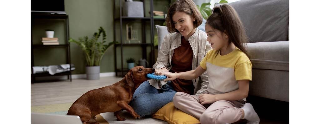 Curso Cachorro en Casa: Guía Práctica de Educación Canina para Familias Principiantes