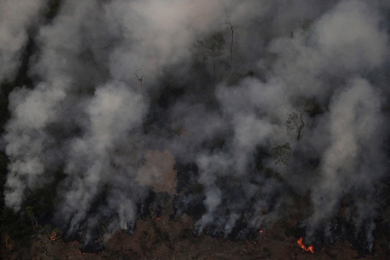 Los incendios que está sufriendo el Amazonas se deben en gran parte a las quemas provocadas para deforestar los terrenos 2,254.8 km2 en julio
