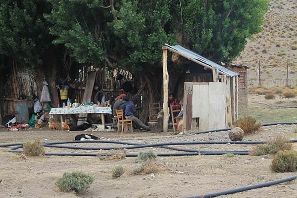 Visita y reuniones con autoridades de la Cooperativa Agrícola Ganadera Peñi Mapuche y de la Comunidad Mapuche Ancalao en la localidad de Ñorquincó  y de la Cooperativa Agrícolo Ganadera Amulein Com en la localidad de Comallo .