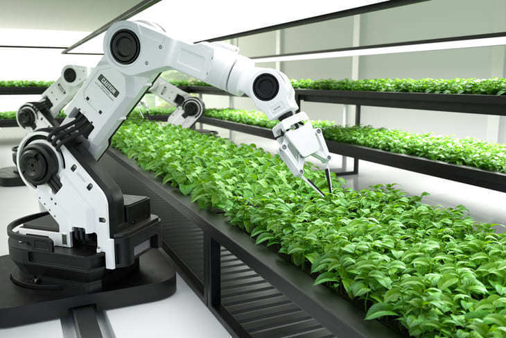 La tecnología en la agroindustria colombiana