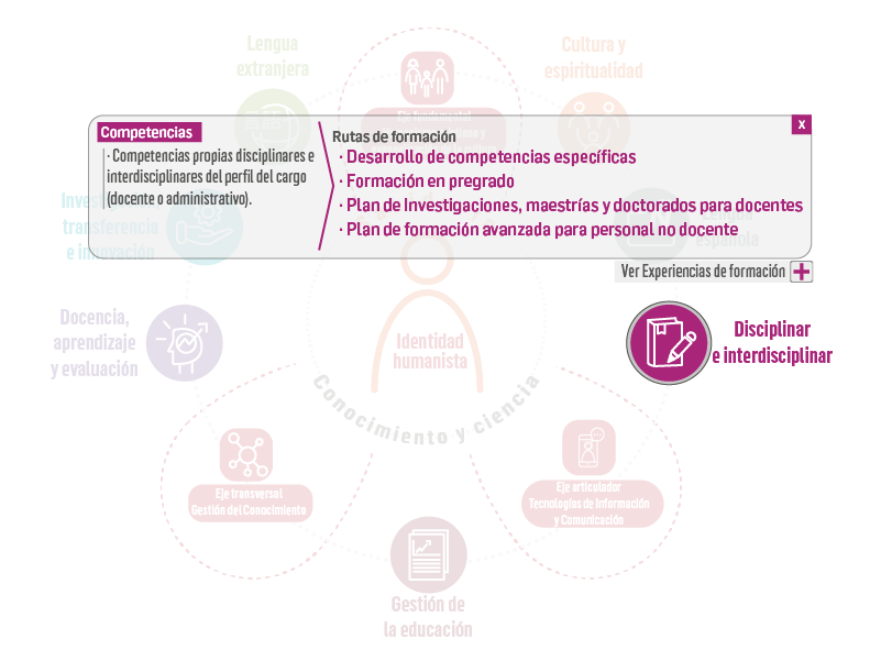 Disciplinar e interdisciplinar